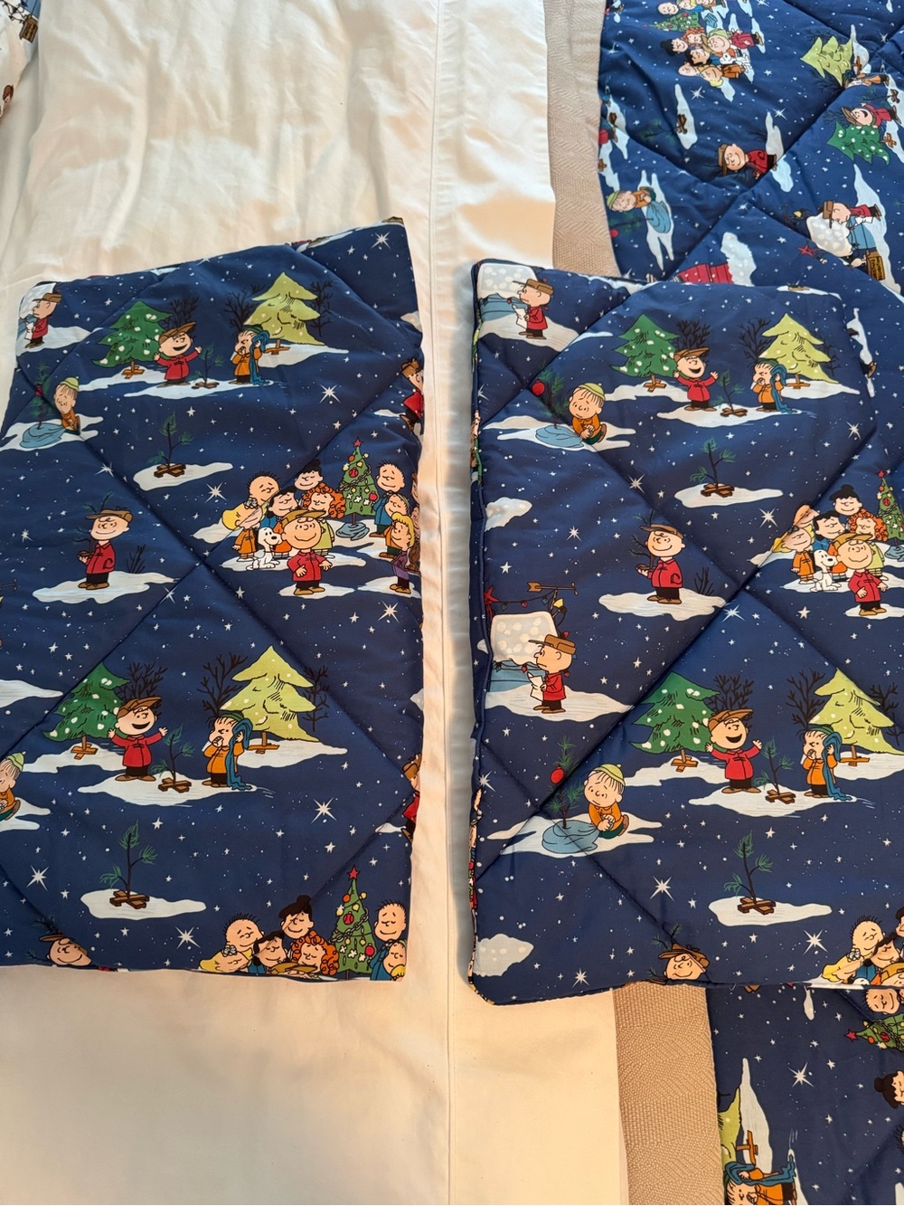 Pottery Barn Peanuts Cartoon Print Quilted Shams (2)
